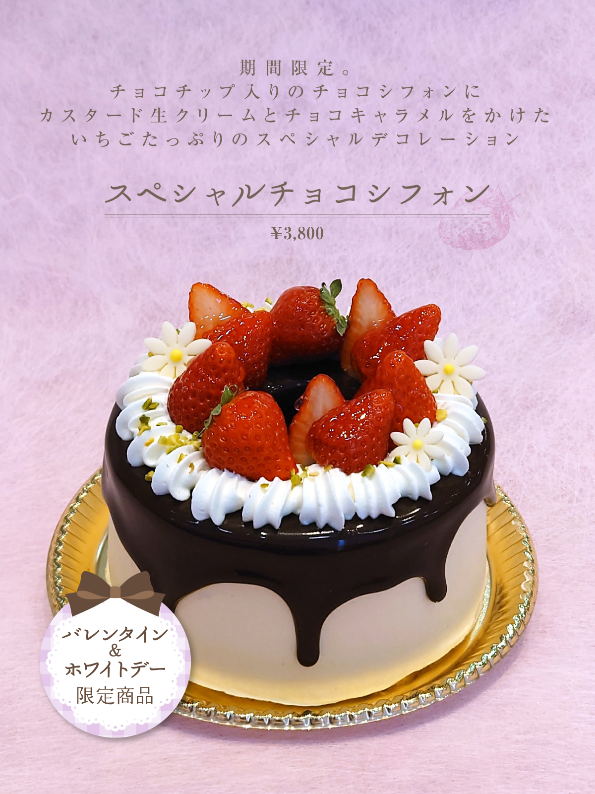 スペシャルチョコシフォン